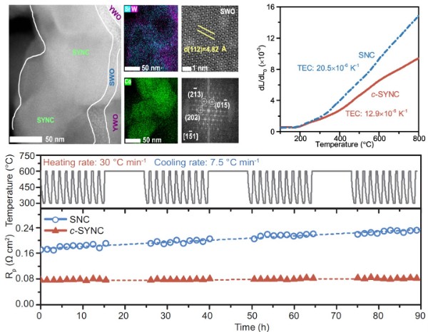 复合电极材料c-SYNC的性质和形成机理 (2).jpg 复合电极材料c-SYNC的性质和形成机理 (2).jpg