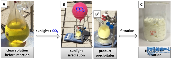 图片1.jpg 图片1.jpg
