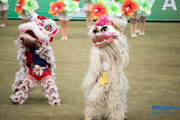 0 (70 - 185)-40.jpg 0 (70 - 185)-40.jpg