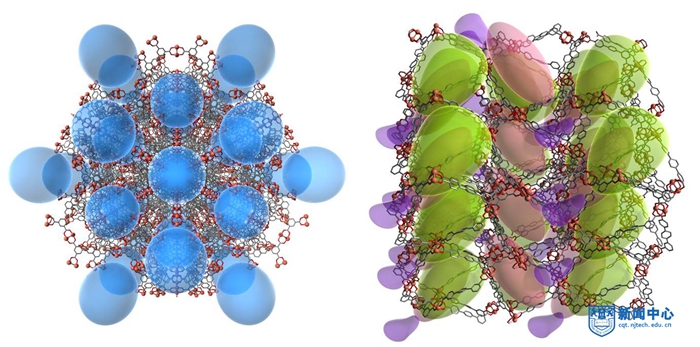 Neo段金贵-new.jpg Neo段金贵-new.jpg